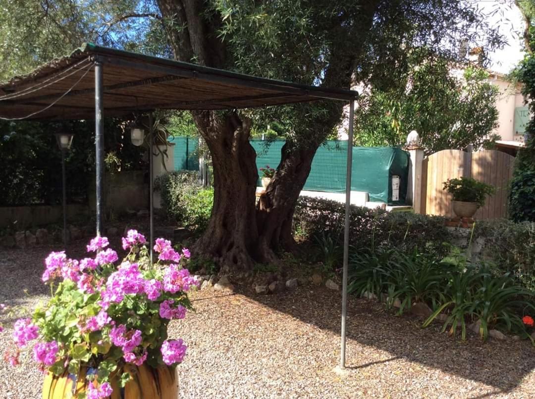 Lisemanu Villa Juan-les-Pins Dış mekan fotoğraf